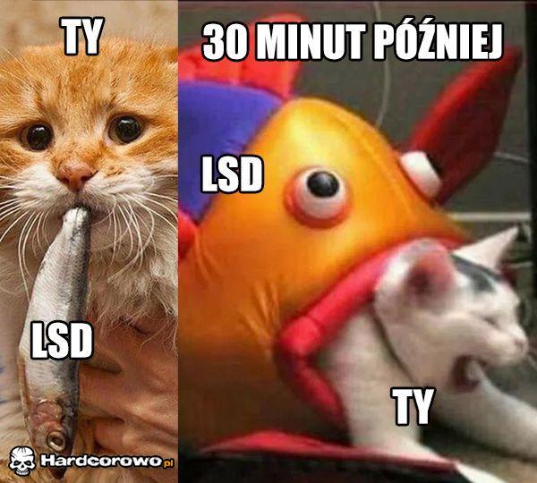 Ty vs Lsd - 1