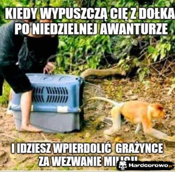  - 1
