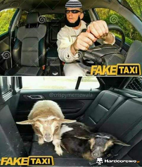 Fake Taxi - 1
