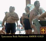 Rada nadzorcza Amber Gold