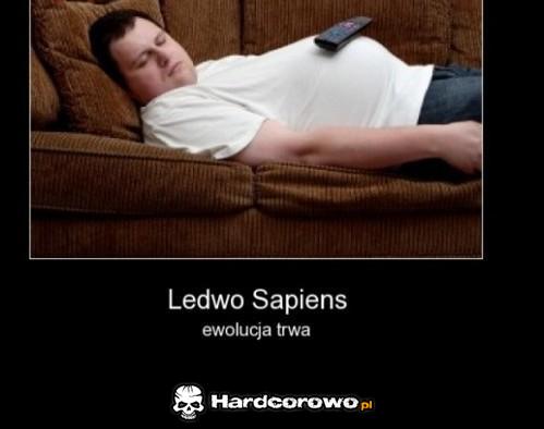 Ledwo sapiens - 1