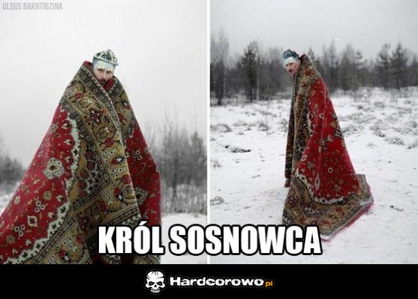 Król - 1