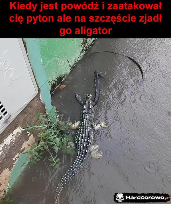  - 1
