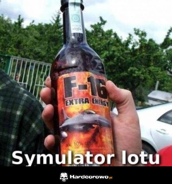 Symulator lotu - 1
