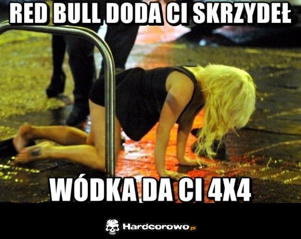 Red bull doda Ci skrzydeł a wódka - 1