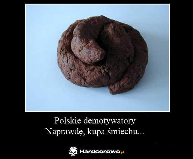 Polskie demotywatory - 1