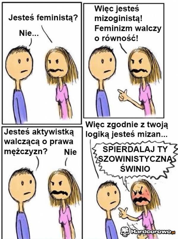 Logika feministek - 1