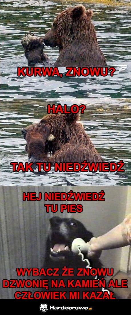 Telefon  - 1