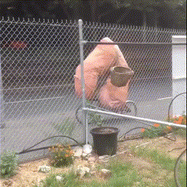 Chujowy rowerzysta - 1