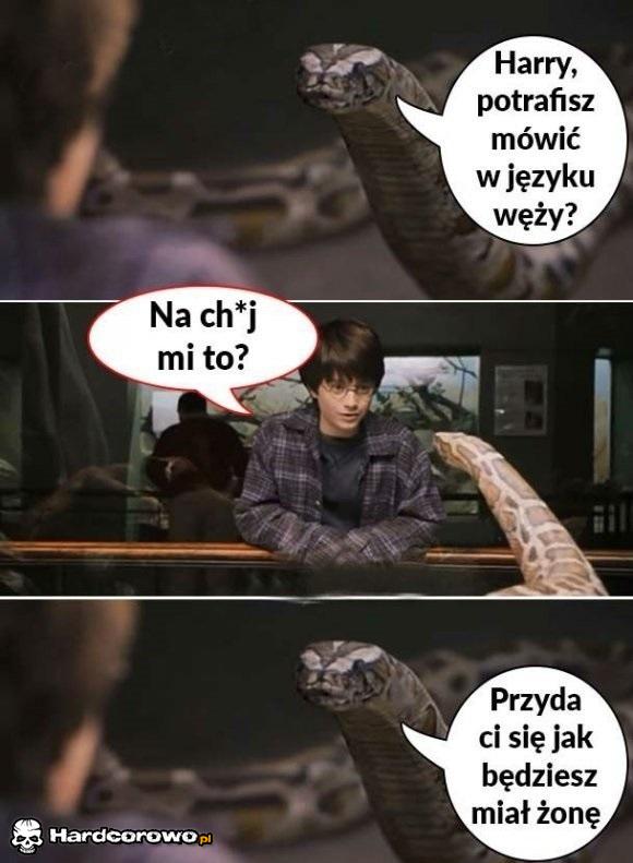 Język węży - 1