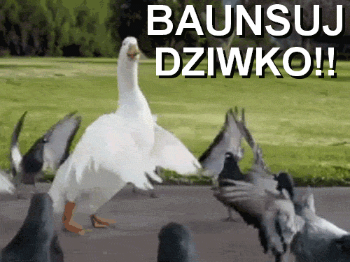 Bansuj dziwko - 1