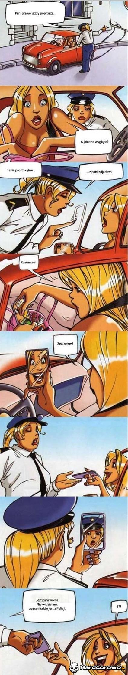 Inteligencja blondynek - 1