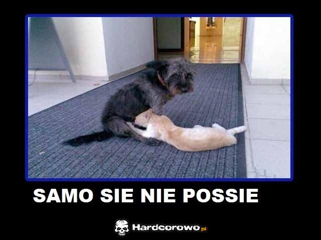 Samo się nie possie  - 1