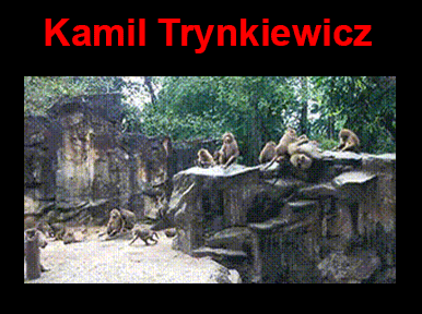Kamil - 1