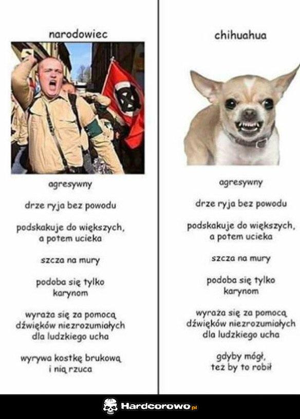 Co jest gorsze? - 1