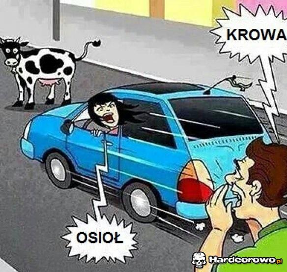 Kobieta za kółkiem - 1