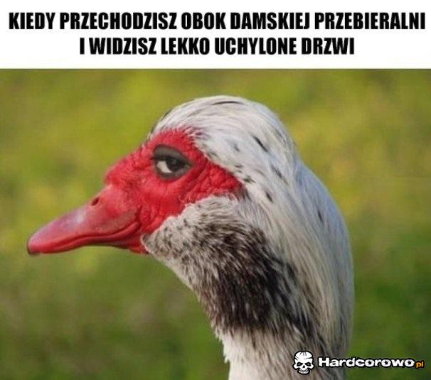 Jaki widoczek - 1