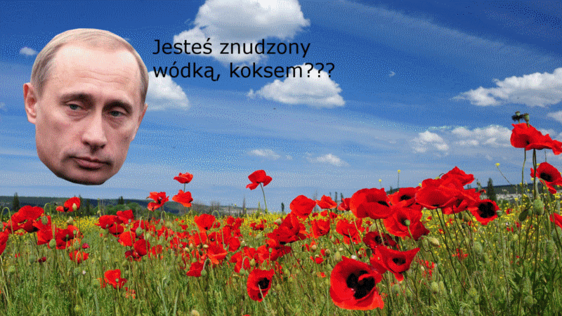 Putin - 1