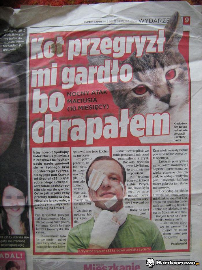 Przegryzione gardło - 1