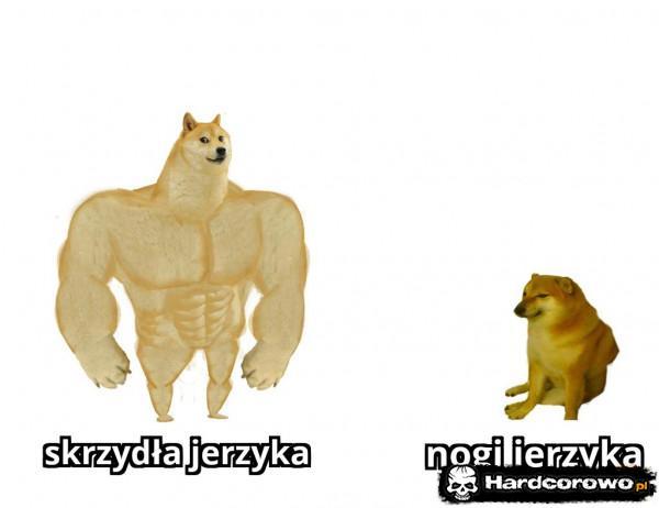  - 1