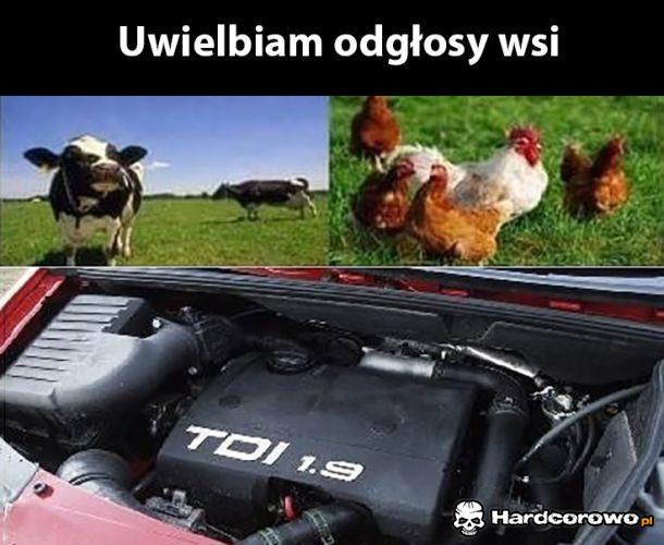 Wieś jest super - 1