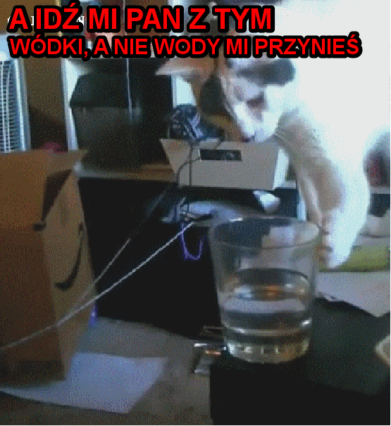 A idź mi pan z tym - 1