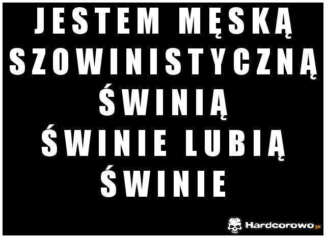 Jestem męską szowinistyczną świnią - 1