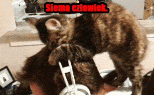 Siema człowiek  - 1