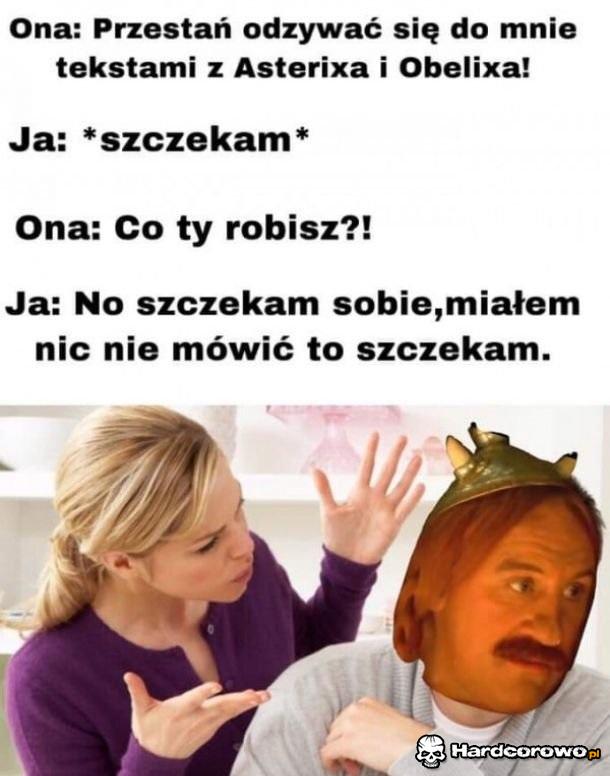 Jak sobie radzić z laskami - 1