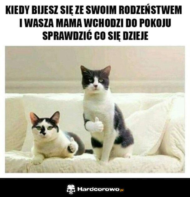 Jest ok - 1