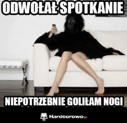 Odwołał spotkanie  - 1