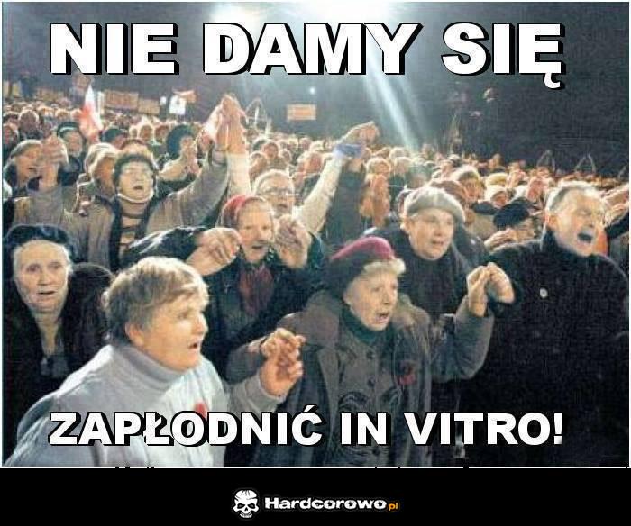 Nie dadzą się zapłodnić in vitro - 1