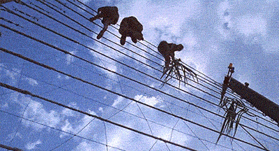 Granica na Węgrzech - 1