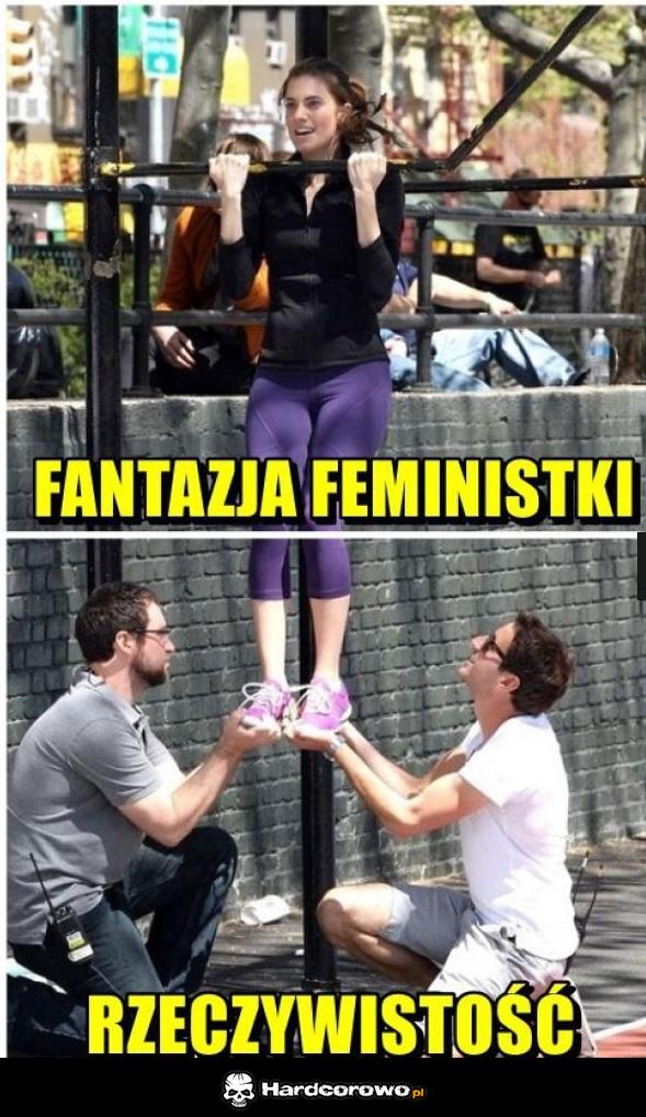 Fantazja feministki - 1