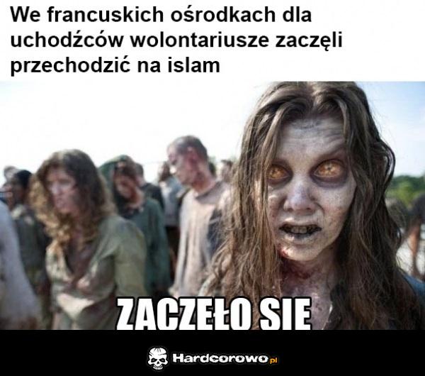 Zaczęło się - 1