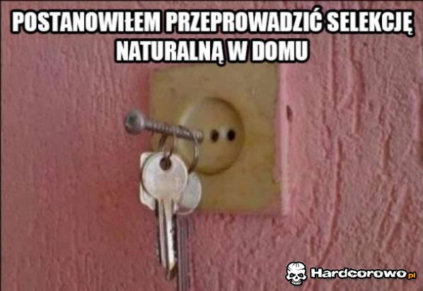 Selekcja naturalna - 1