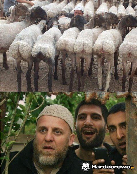 Top Model Islam  - 1