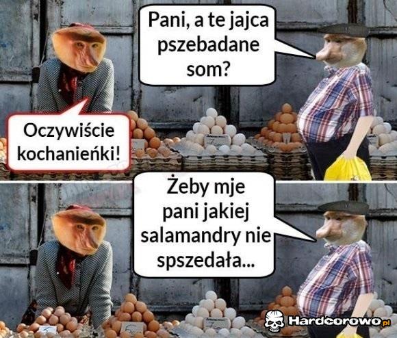 Janusz kupuje jaja - 1