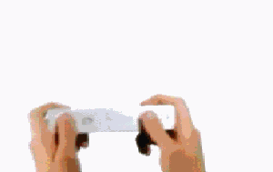 Nintendo Wii - 1