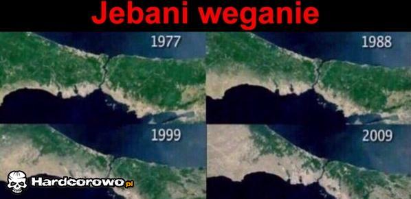 Jebani weganie - 1
