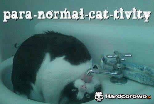 Paranormal activity  - 1