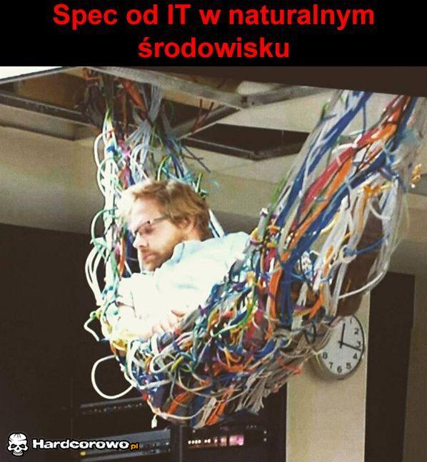 Spec - 1