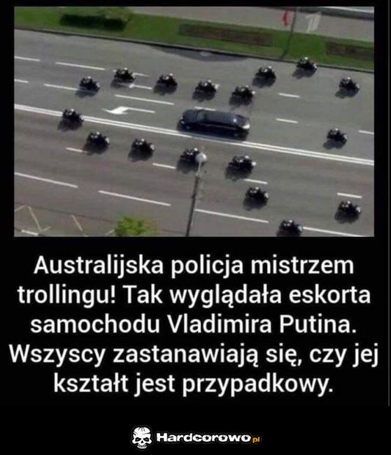 Trollowanie - 1