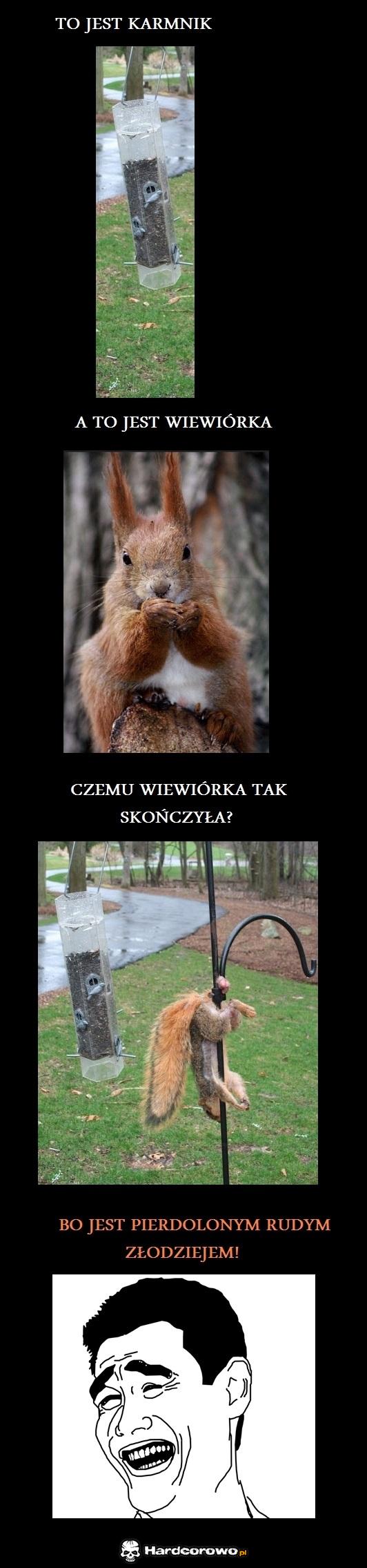 Chciwość rudego  - 1