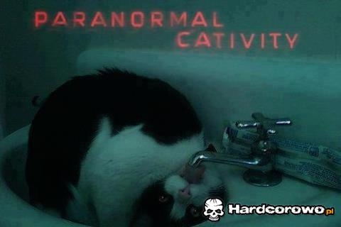 Paranormal - 1