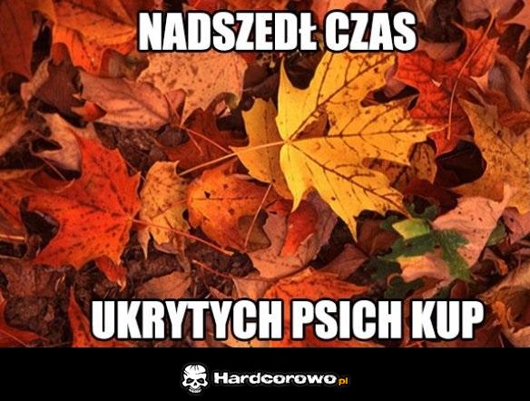 Jesień taka piękna - 1