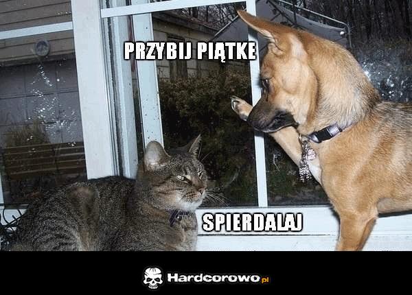 Przybij piątkę - 1