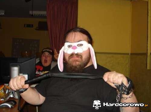 Ninja bunny - 1