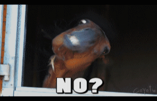 No! - 1