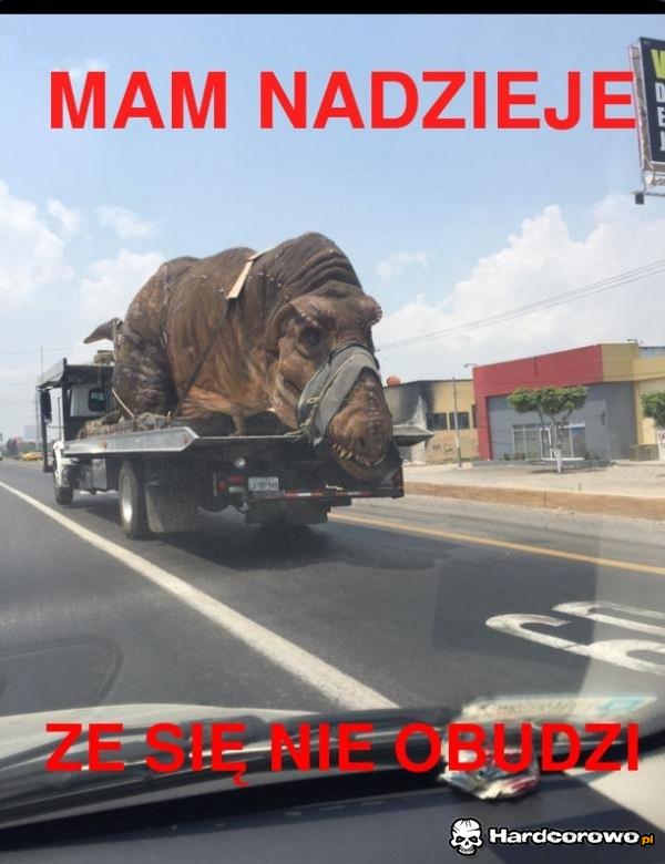 Mam nadzieje - 1